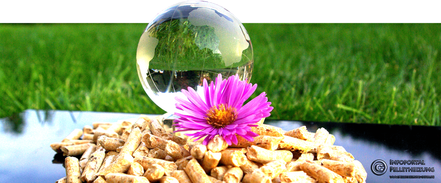 Holzpellets
