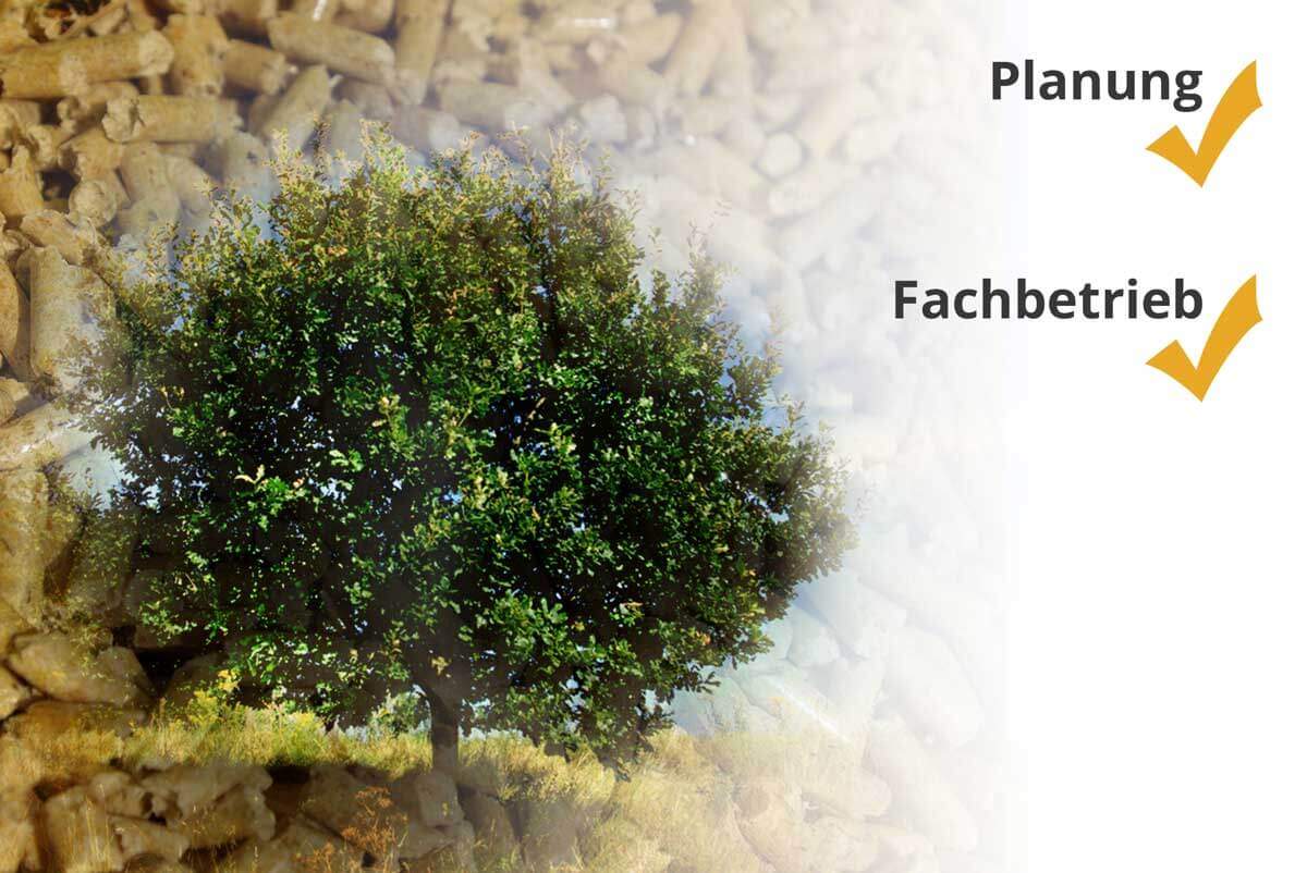 Leitfaden Fachbetrieb