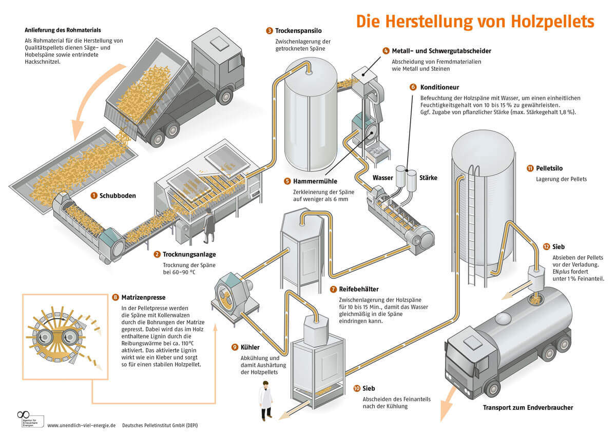 Die Herstellung von Pellets Schritt für Schritt